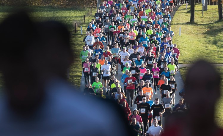 Stichting Zevenheuvelenloop